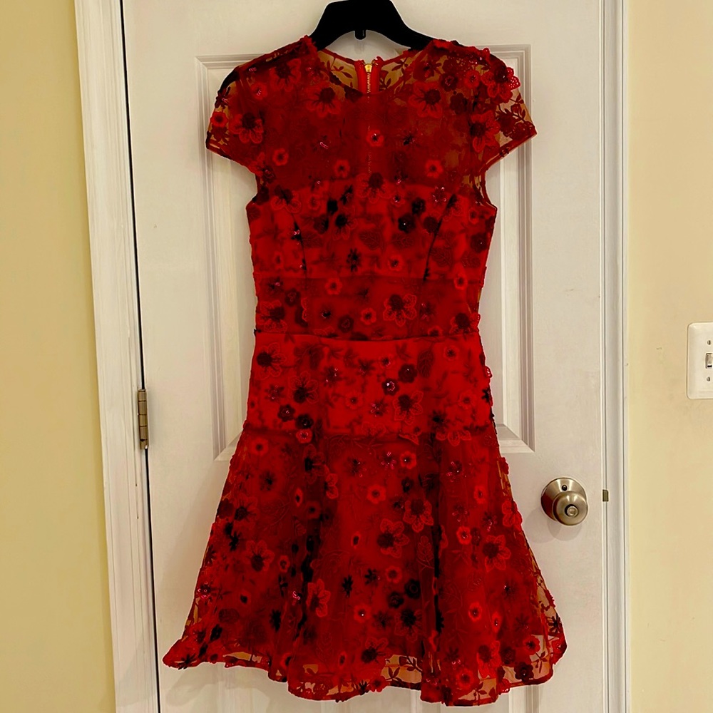 Holiday dress!!!  Perfect red tones with lovely embroidery.  Size small.